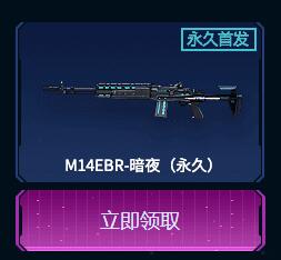 穿越火线游戏一局领取 M14EBR-暗夜(永久)