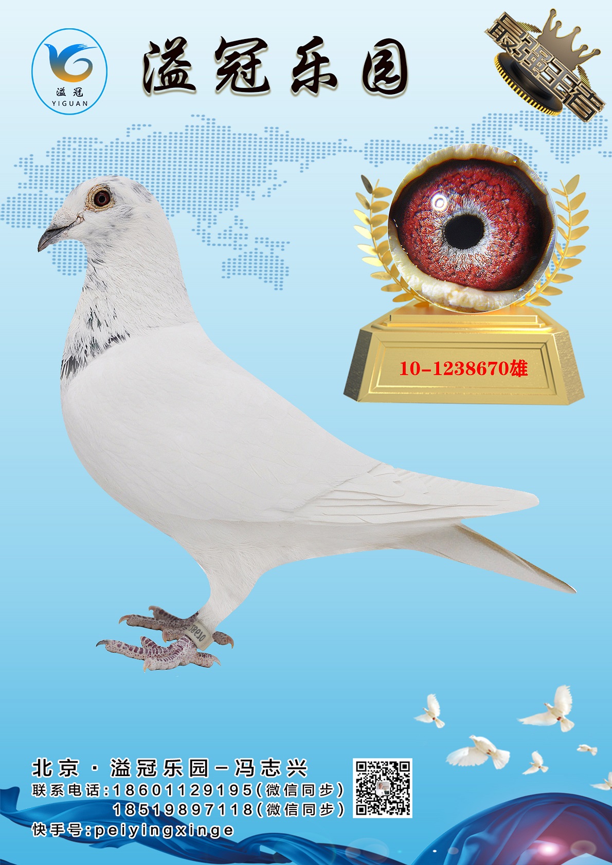 qq泡沫技术乐园_qq乐园技术_qq国际技术乐园