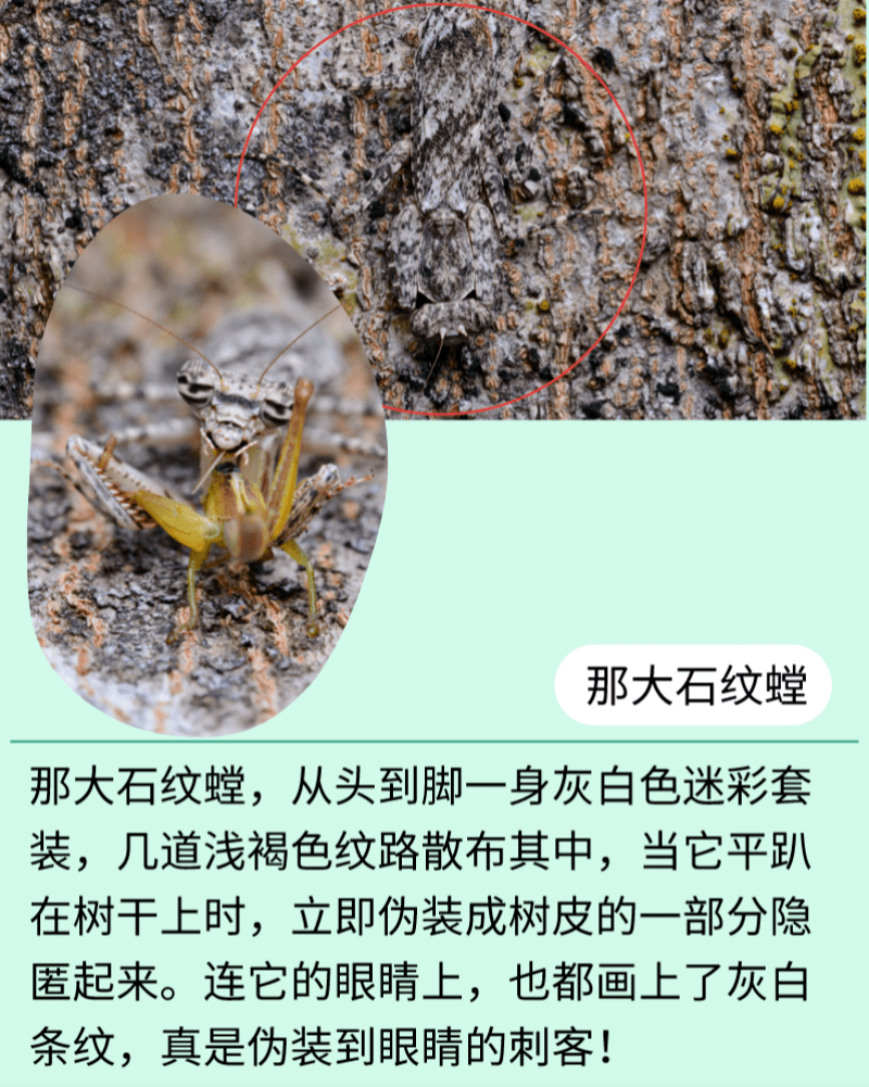 查企业-天眼查_用天眼查可以查个人_天眼查要注册才能用吗