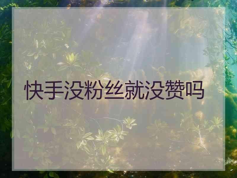 快手官方买活粉_快手怎么买粉丝_快手买活粉网站