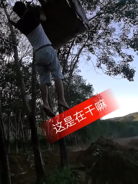 快手怎么买评论_快手刷评论双击软件_快手刷评论软件2017