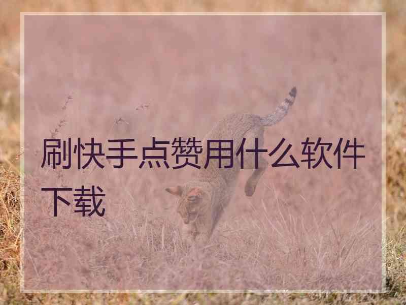 快手双击怎么买?_买快手双击的网站微信支付_可以买快手双击的网站