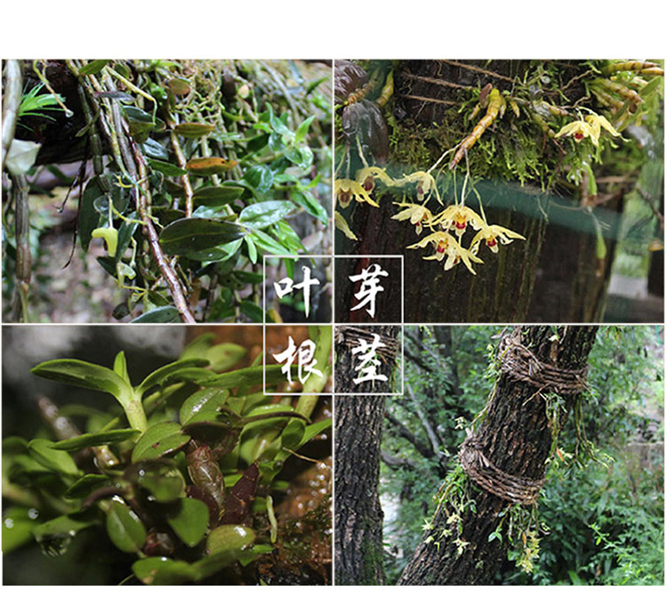 抖音怎么快速吸粉_抖音刷粉60元一千粉_抖音粉丝哪里有卖