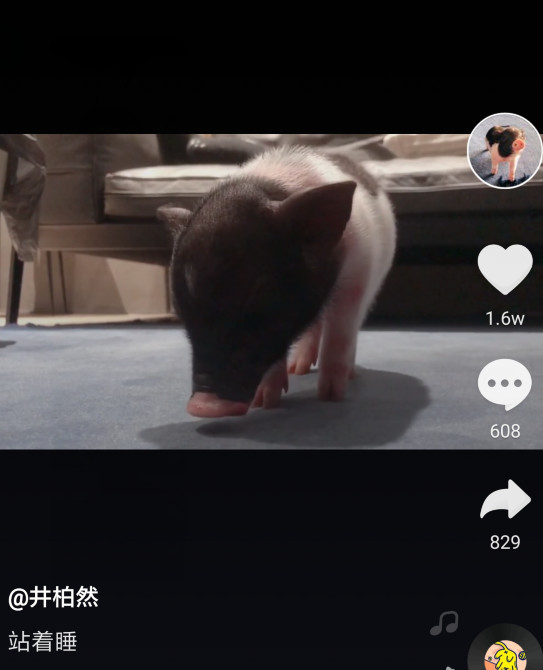 抖音刷粉代理平台_抖音粉丝哪里有卖_抖音头像有抖音符号