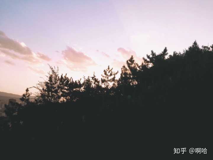 怎么拍好一个短视频作品_睡的美拍美女杀猪40个美拍短视频_怎么拍短视频才好看