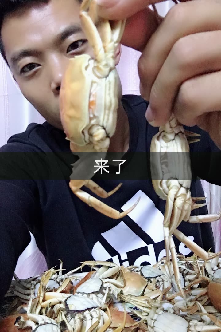 快手买粉丝网站_快手官方买活粉_快手如何买1000粉