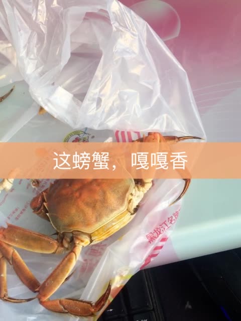 快手官方买活粉_快手如何买1000粉_快手买粉丝网站