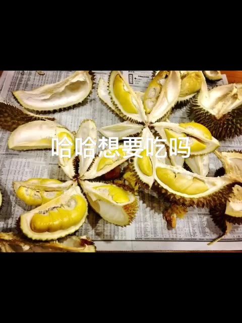 快手刷粉网站1元100粉_快手怎么买粉丝_快手刷粉网站1元100粉活粉