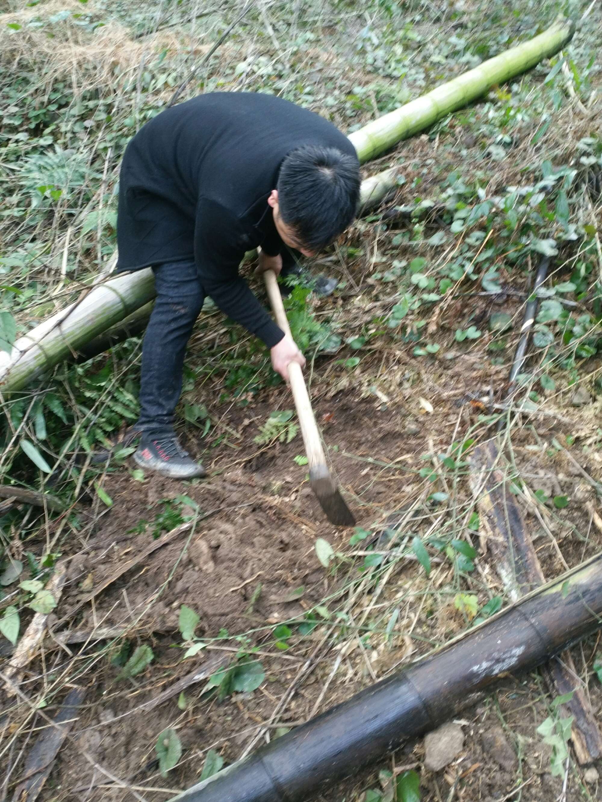 微拍短视频网站源码_秒拍短视频榜单_怎么拍好一个短视频作品