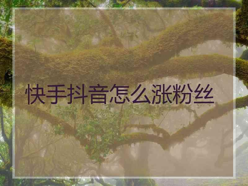 快手上热门技巧_快手作品怎么上热门_快手如何上热门秘籍