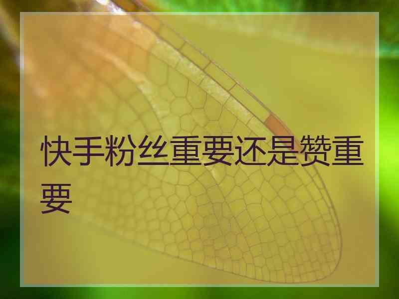 抖音买粉教程_哪里可以买抖音粉和点赞_抖音怎么买1000粉多少钱