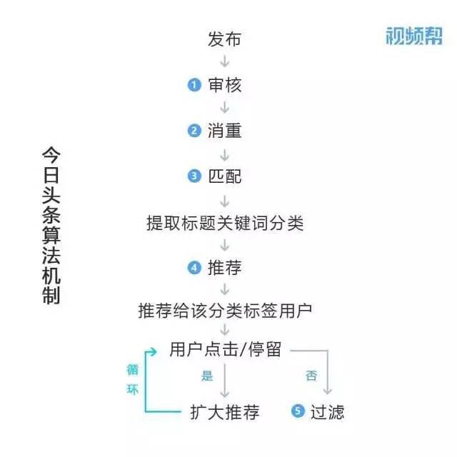 快手网红助手哪个好用_网红西红柿哥快手号_穆斯林快手网红