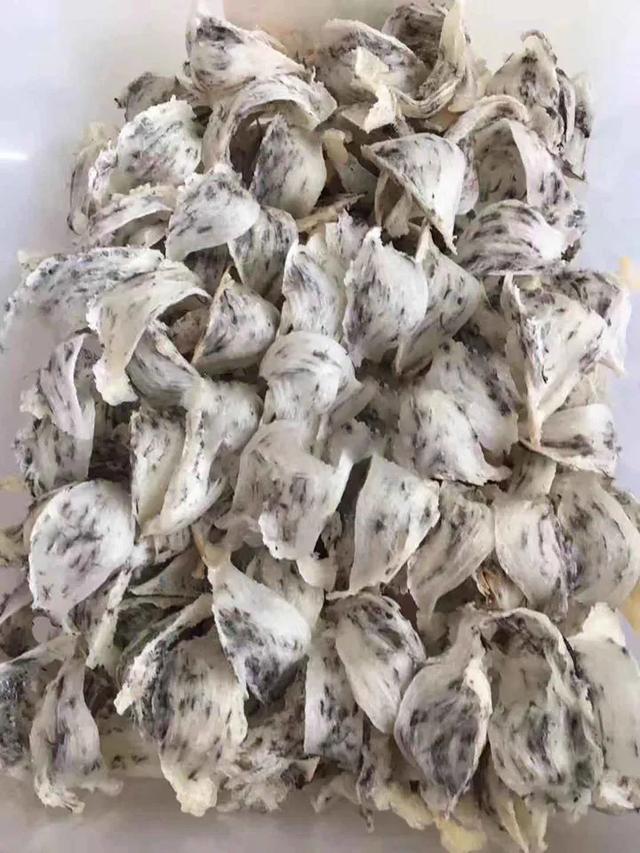 假燕窝泡发后样子(图)_燕窝泡发后会碎_假雪燕泡发后
