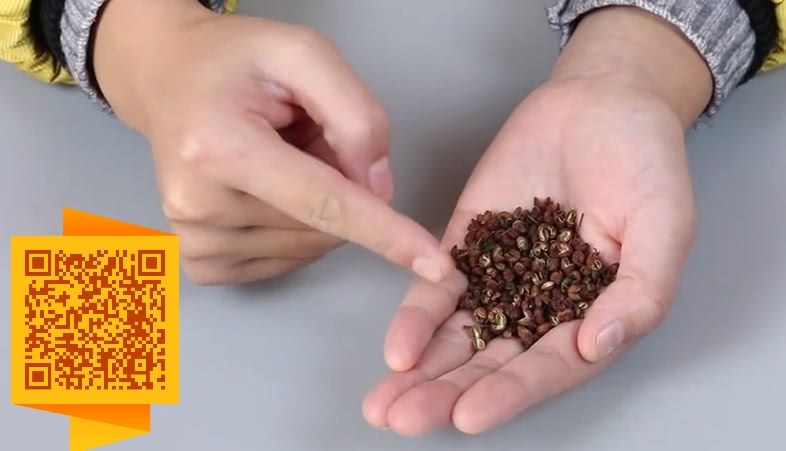 去黄美白中药打粉_中药打粉机哪个牌子好_小型家两用打粉打农作物机嚣