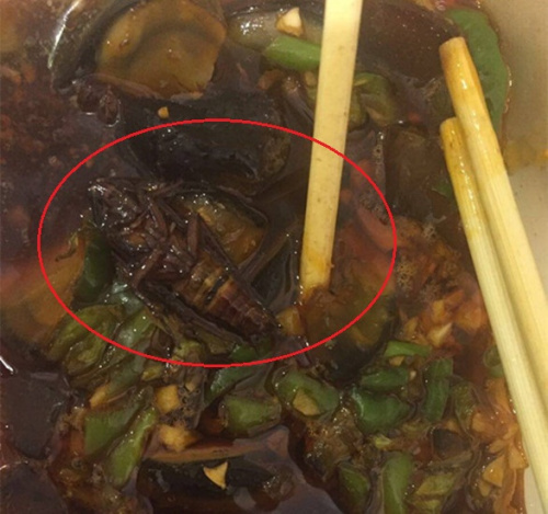 外卖吃出异物赔偿标准法_包装食品吃出异物如何赔偿_外卖吃出异物赔偿标准法
