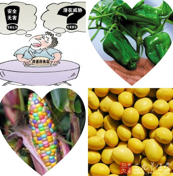 混沌之戒3基因食品_转bt蛋白基因植物_美国人吃转基因食品吗