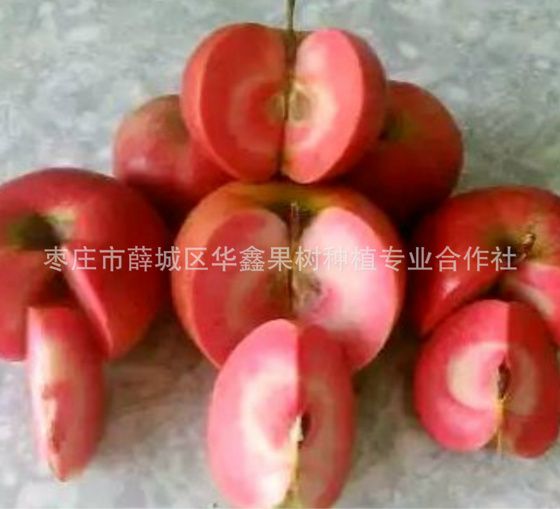 有哪些水果是转基因的_转生长激素基因鲤鱼_有一款恶搞照相软件有水果