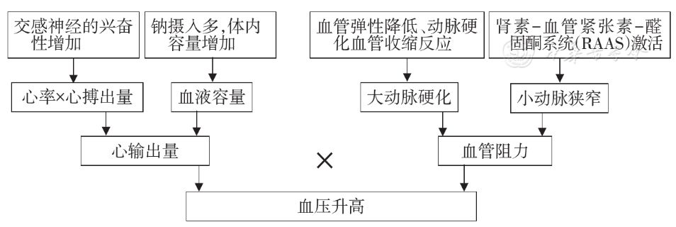 强力定眩片能长期吃吗_强力定眩片专治什么病_强力定眩片能长期吃吗