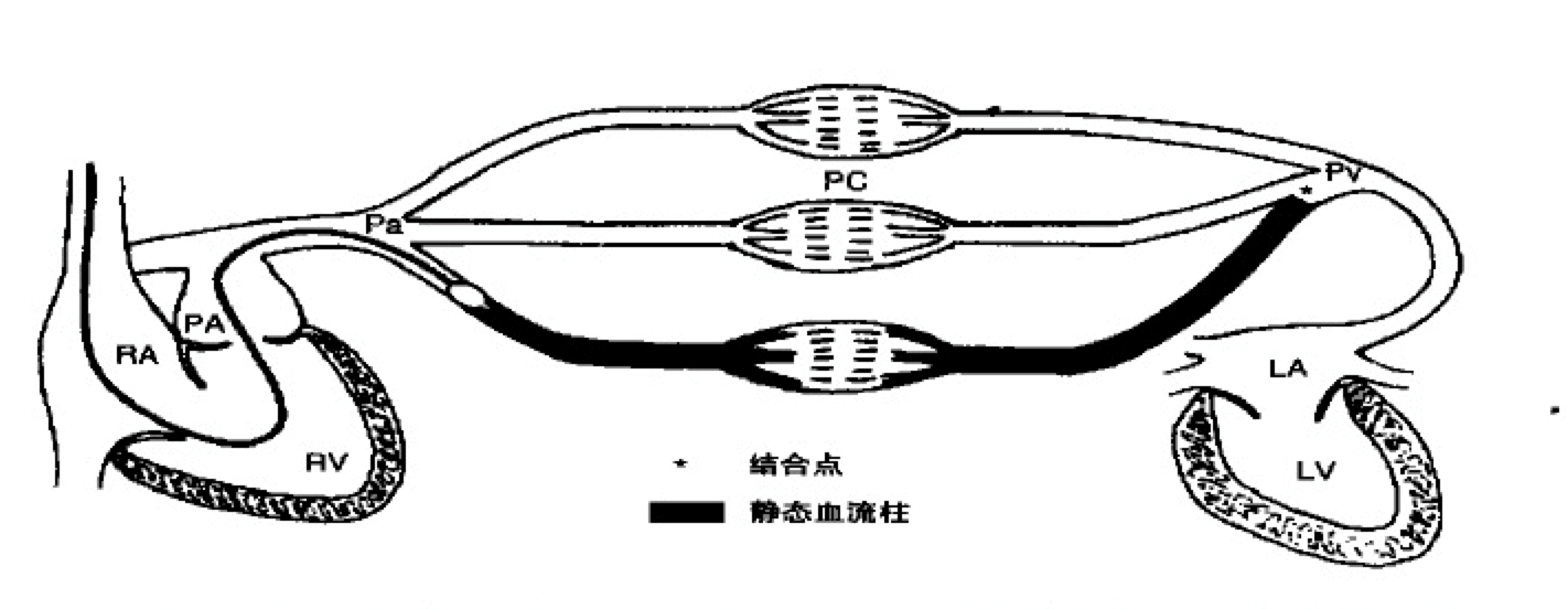 强力定眩片能长期吃吗_强力定眩片能长期吃吗_强力定眩片专治什么病