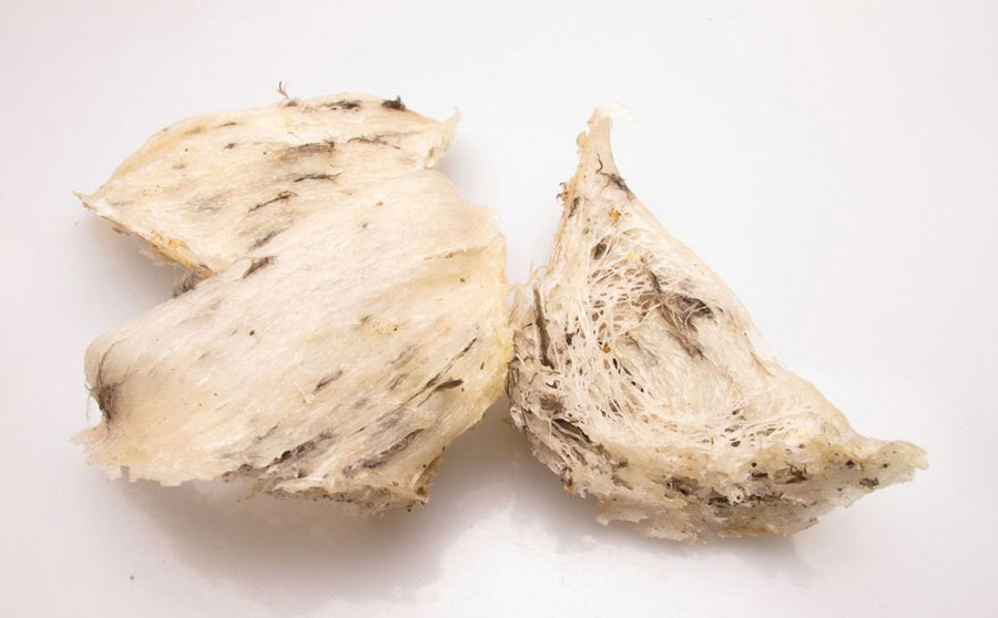 燕窝干挑好还是湿挑好_燕窝湿挑干挑怎样区别_燕窝有点湿是不是假的