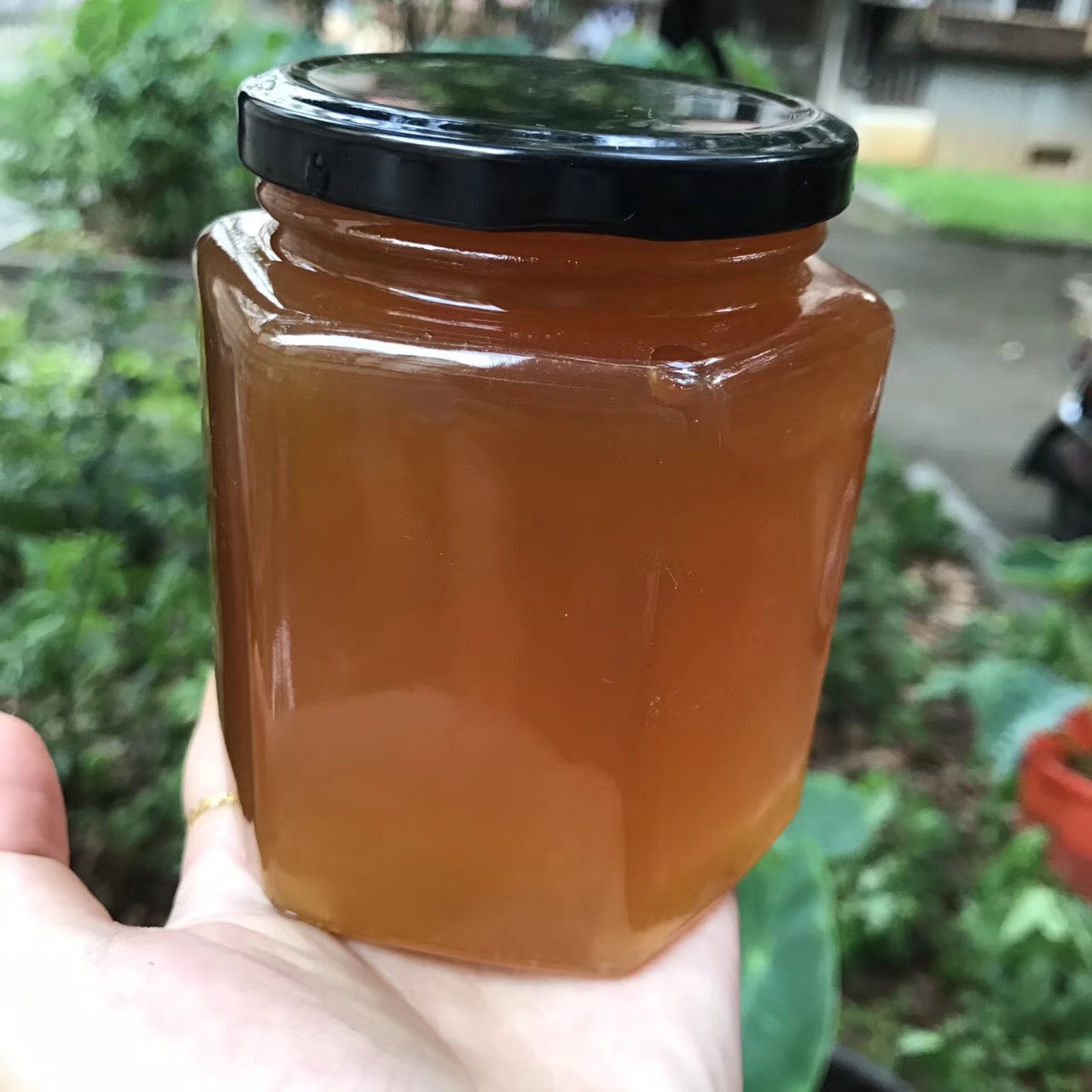 买蜂蜜买哪个牌子的好_到什么地方买真蜂蜜_到哪个地方能买到真蜂蜜