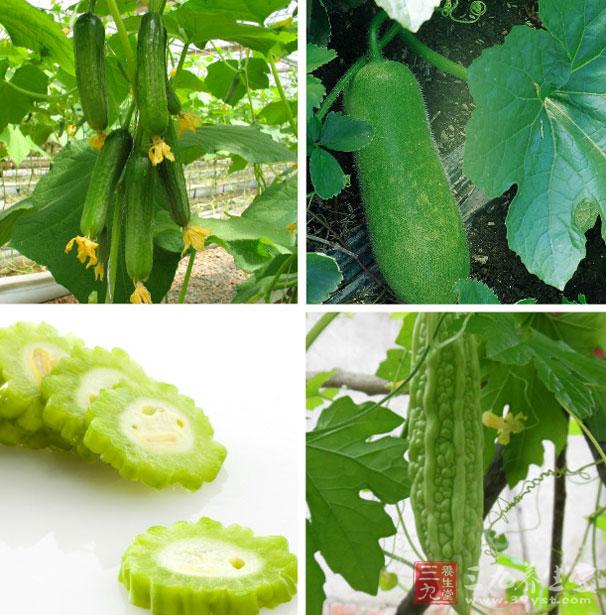 老王在什么水果蔬菜方面可有高招呢_老王蔬菜批发零售怎么样_中国高招网有成功的吗