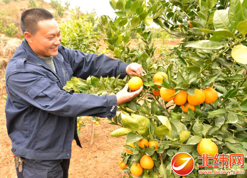 水肥一体化加肥站_想开个液体加肥站_液体加肥机