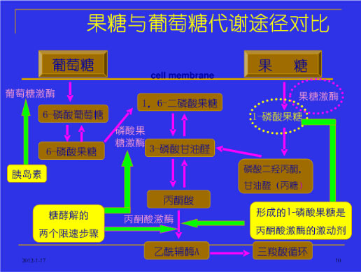 六花亭酒心糖很污_有杀气童话黑狐糖野狐糖_糖心苹果有没有问题