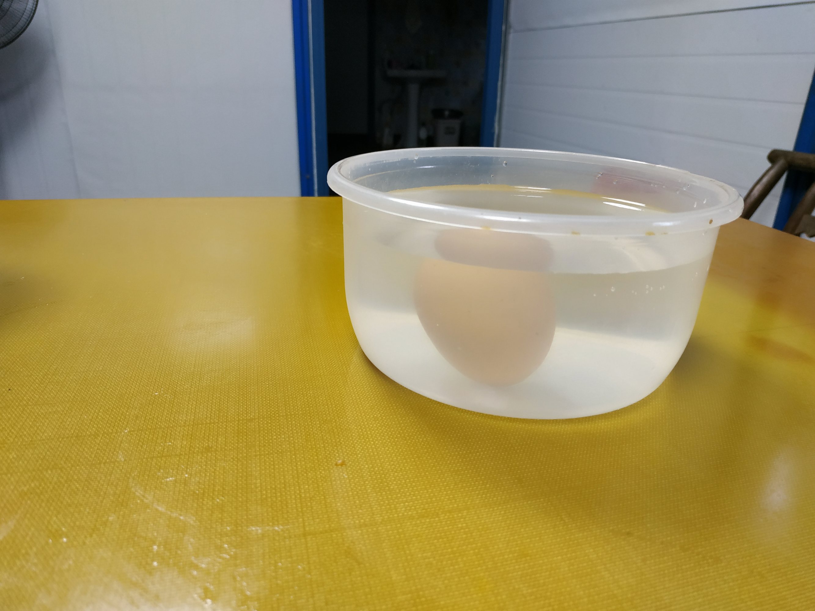 鸡蛋黄瓜减肥法可以几个鸡蛋_鸡蛋为什么可以立在镜子上_鸡蛋为什么可以立在镜子上
