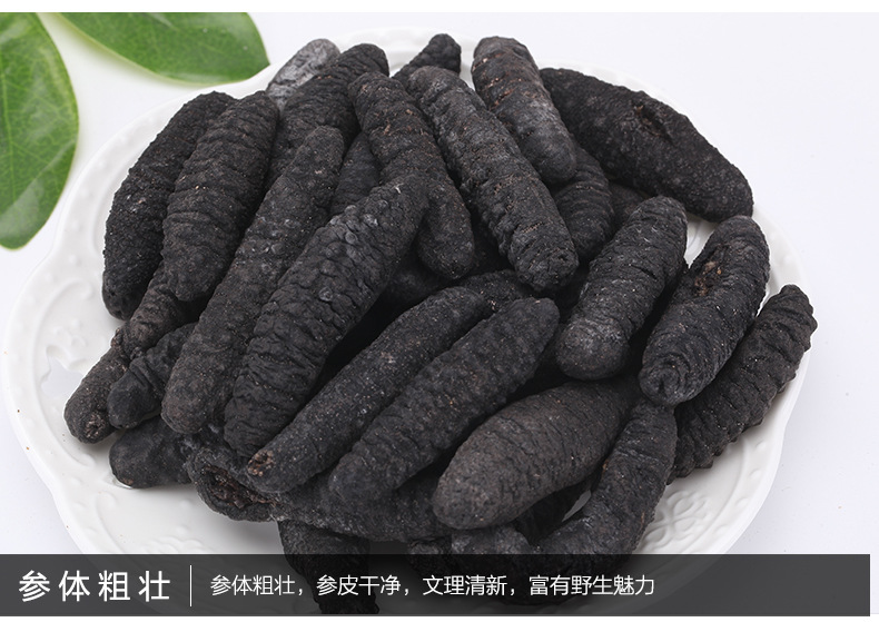 加拿大海参没营养_大米刺海参营养价值高_美国黑海参没有刺的营养价值好吗