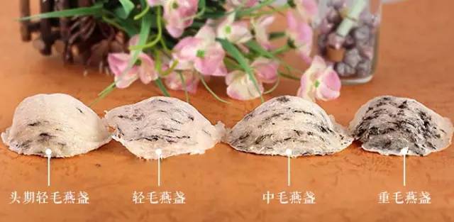 极燕老料燕窝没燕窝_燕窝没有毛是不是假的_毛燕窝的做法大全