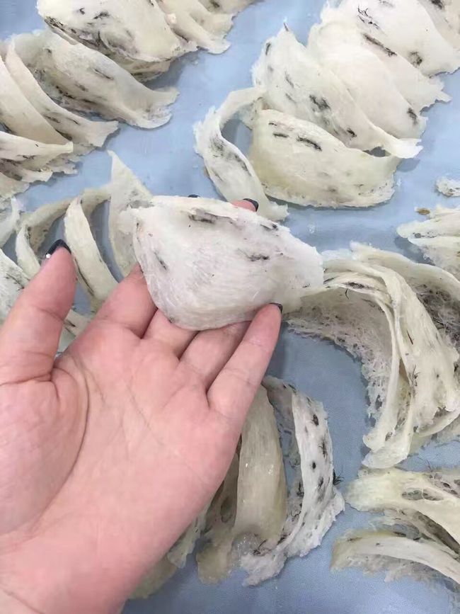 极燕老料燕窝没燕窝_毛燕窝的做法大全_燕窝没有毛是不是假的