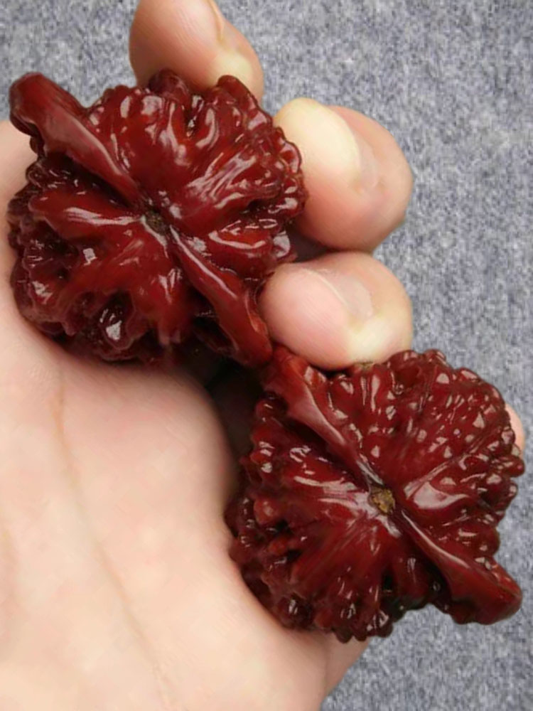 新买核桃盘玩步骤方法_核桃的盘玩方法视频_核桃盘玩方法