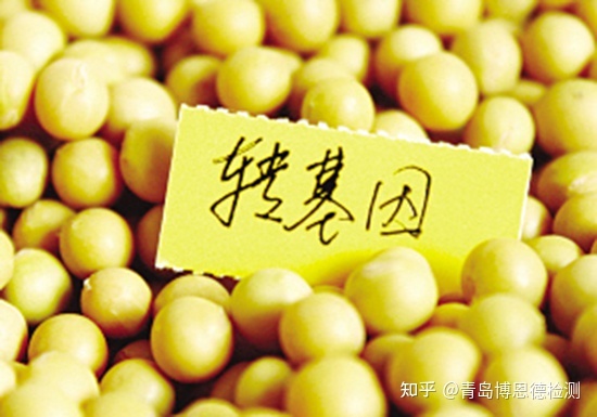 转生长激素基因鲤_外国领导吃中国国宴_中国领导吃转基因食品
