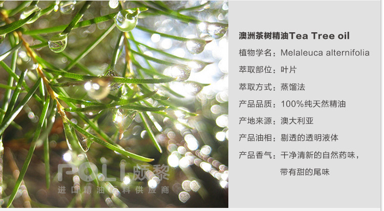 skin food茶树&薰衣草男士控油紧致洗面奶_玛莉机街头赛车的主板在那里可以买到_有机茶树精油在哪里可以买到