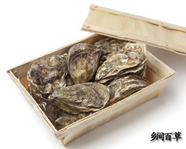 有打瘦脸针没效果的吗_黄金牡蛎有没有效果_黄金牡蛎效果怎么样