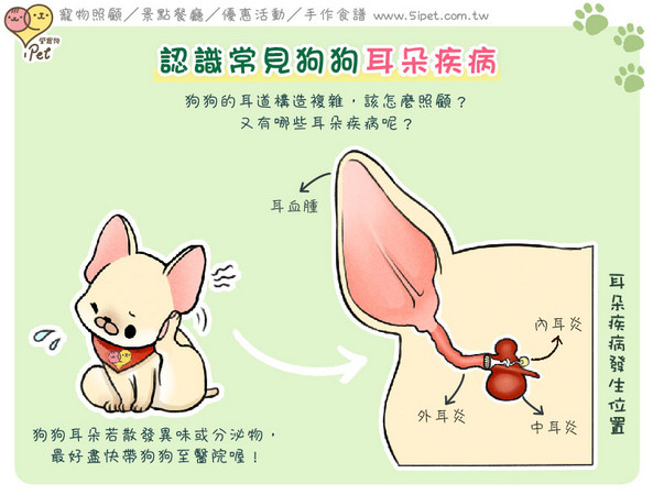 耳朵体温计杭州那有卖_体温耳朵正常值是多少_狗鼻子干耳朵热体温39