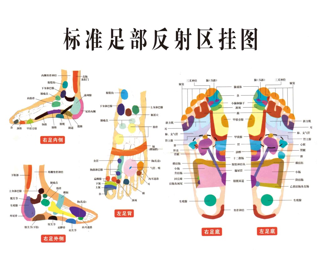 艾脐贴去湿气减肥是真的吗_去湿气可以减肥吗_足贴真的可以去湿气吗