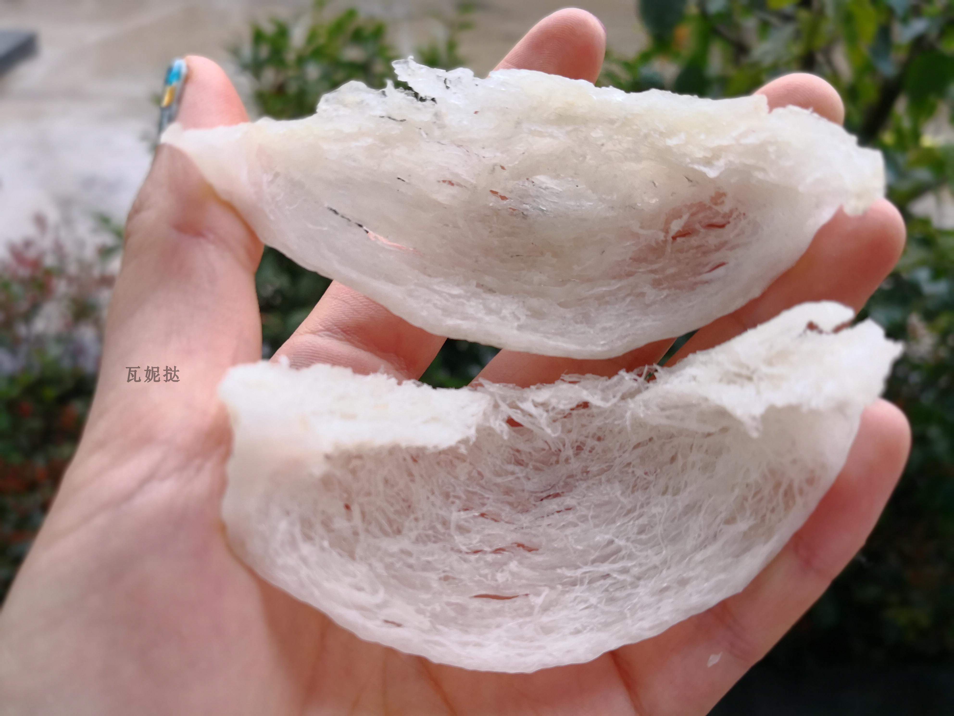 极燕老料燕窝没燕窝_燕窝没有毛是不是假的_德牧有灰色毛是纯种吗