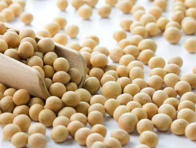 包皮上长黄豆大的疙瘩_max三角面转四边面_市面上黄豆是转基因吗
