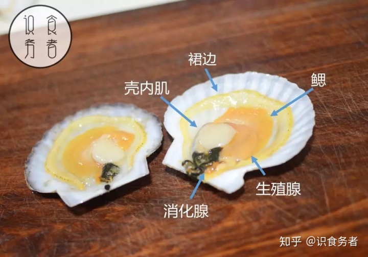葵花蚝贝钙片能长期吃吗吗_黄金贝里面的都能吃吗_聚好用里面没有当贝