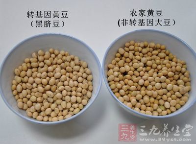 上下传来事转虚是转运签_市面上黄豆是转基因吗_obj三角面怎么转四角面