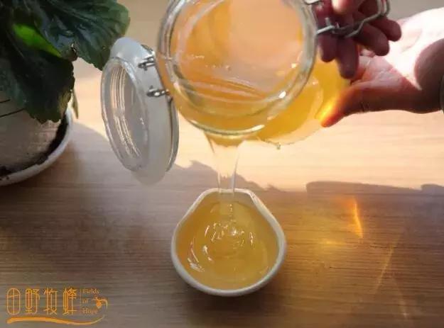一般蜂蜜的价格是多少钱一斤_sitewww.jkhoney.cn 野生蜂蜜价格一般多少_一般蜂蜜价格多少
