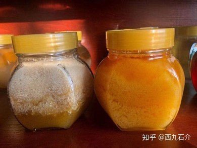 澳洲药树蜂蜜好还是红柳桉树蜂蜜好_去哪里能购买好蜂蜜_在哪里能购购买到真蜂蜜