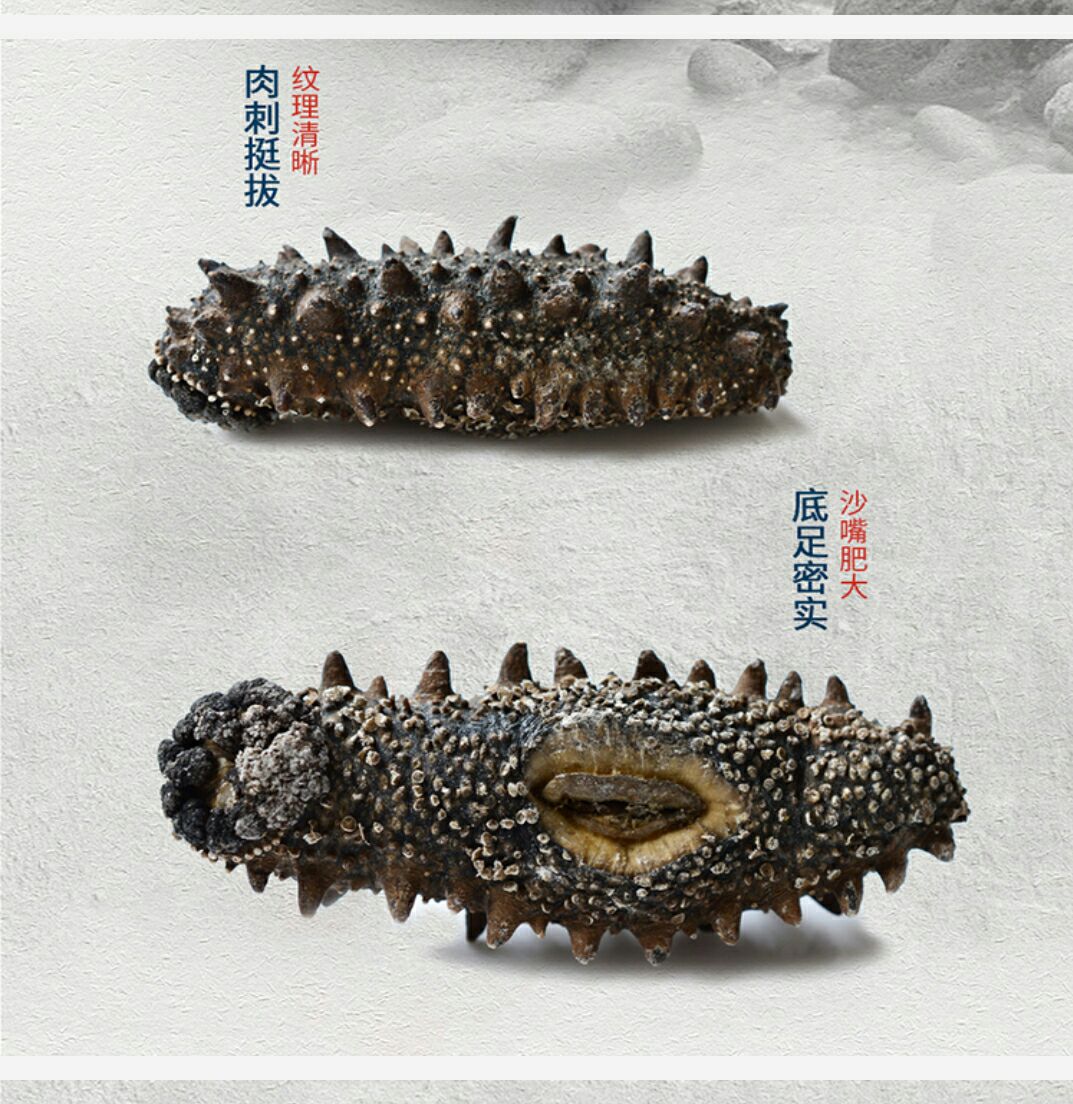 黑刺海参的泡发_无刺黑海参_美国黑海参没有刺的营养价值好吗