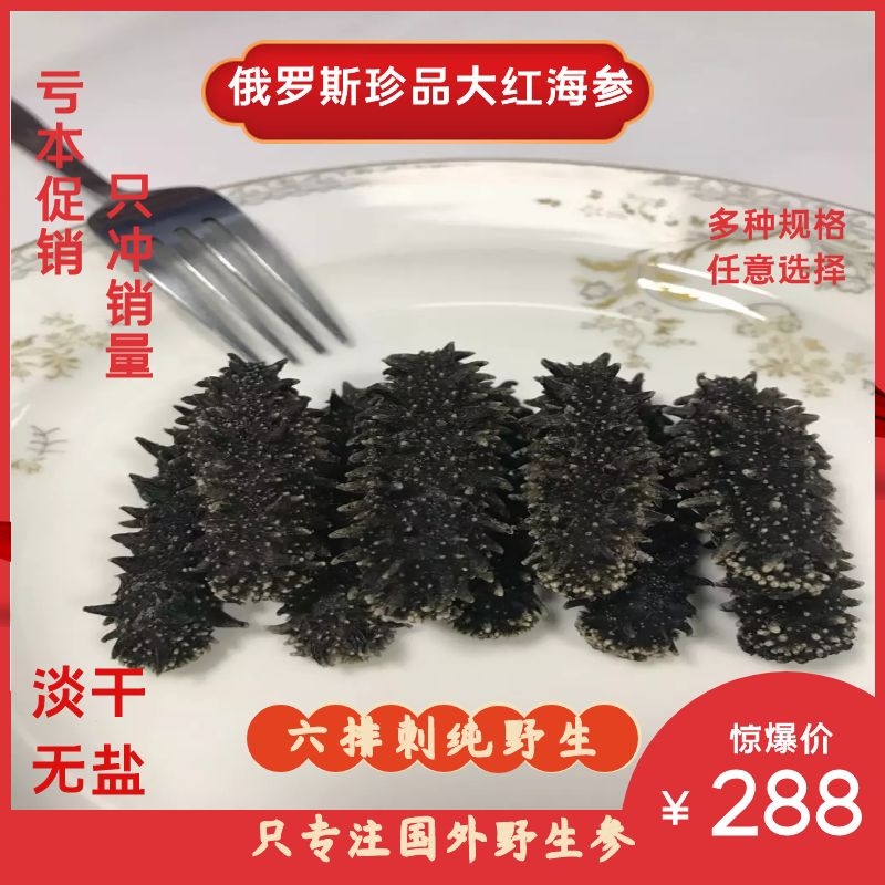 无刺黑海参_美国黑海参没有刺的营养价值好吗_黑刺海参的功效与作用