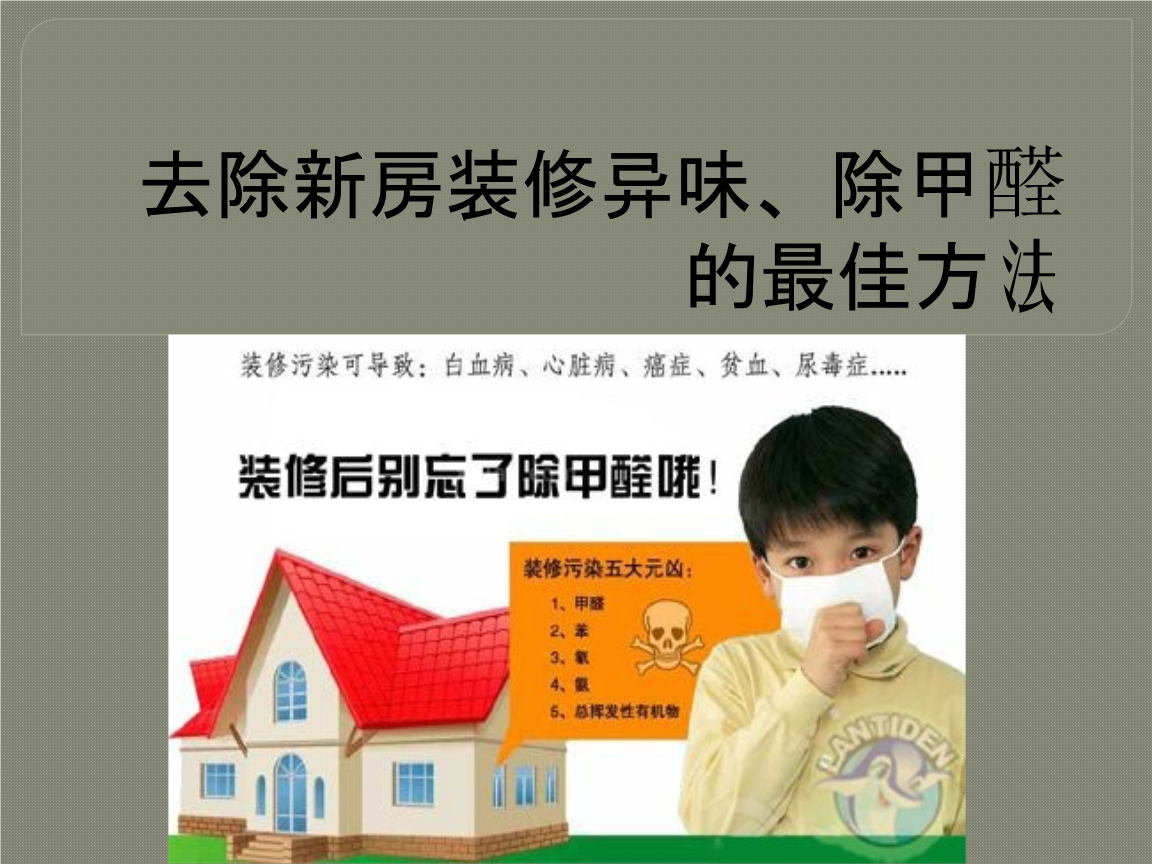 刚装修房子放什么去味_刚装修房子怎么去味_新房子菠萝能不能去味