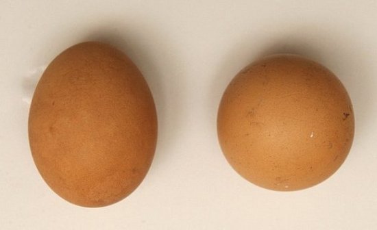 万源旧院黑鸡蛋图片_怀孕可以吃旧院黑鸡蛋_怀孕可以吃旧院黑鸡蛋
