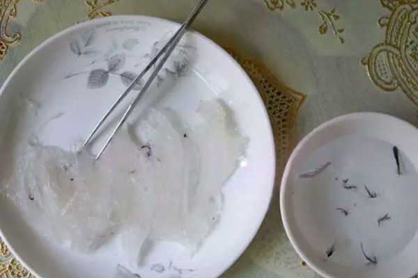 楼上燕窝要挑毛吗_燕窝干挑和湿挑哪种好_燕窝干挑和半干挑营养