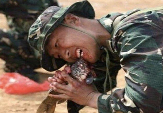 食物链有图片_有肾结石吃什么食物好_长链脂肪酸食物